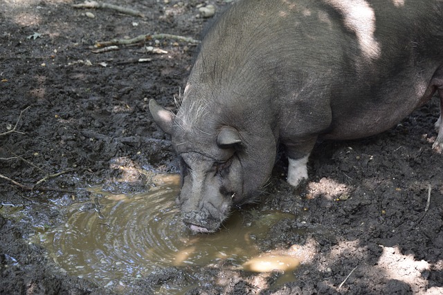 多重解读 多重解读