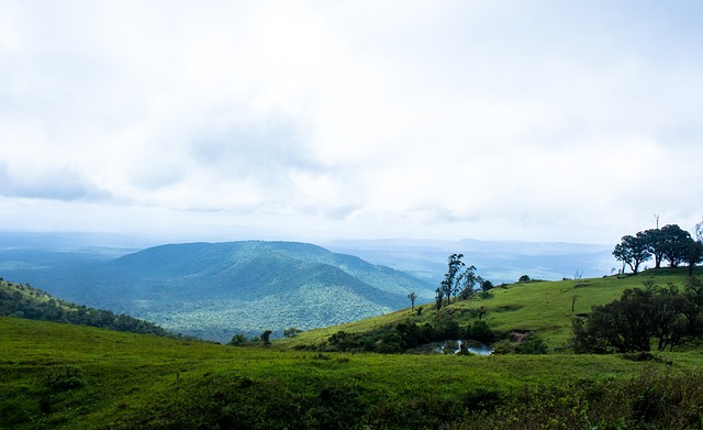 停留在曼联 停留在曼联